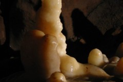 cuchon_094
