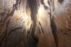 IMG-20250904-WA0019