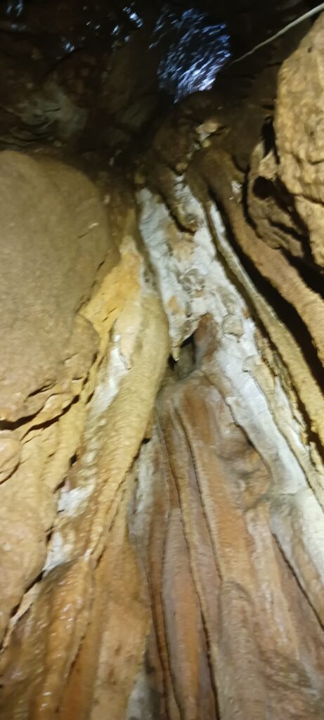 L’attribut alt de cette image est vide, son nom de fichier est 20250501_151430-461x1024.jpg.