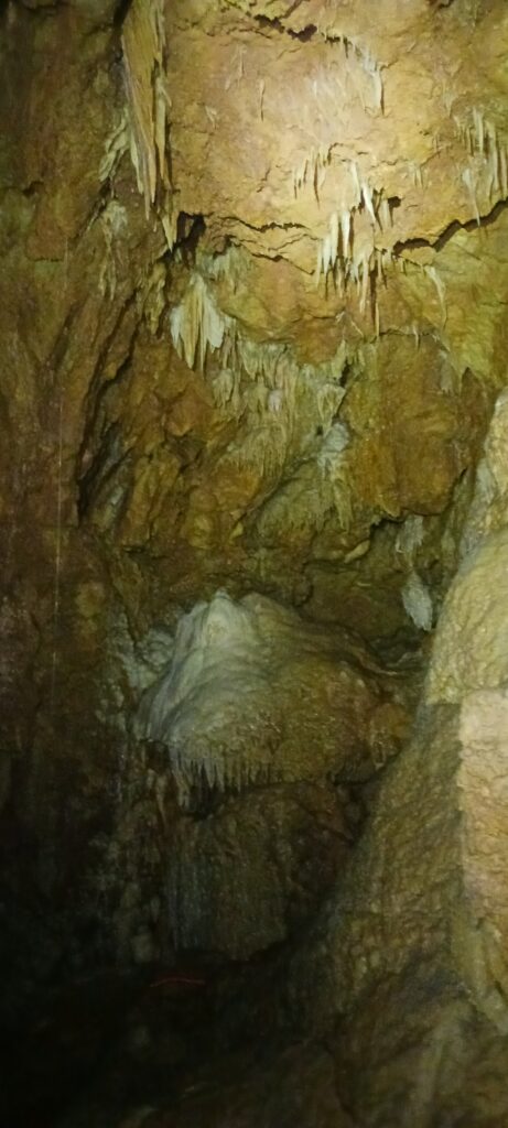 L’attribut alt de cette image est vide, son nom de fichier est 20250501_160147-461x1024.jpg.