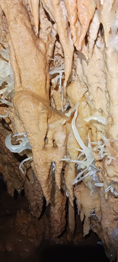 L’attribut alt de cette image est vide, son nom de fichier est 20250501_160411-461x1024.jpg.