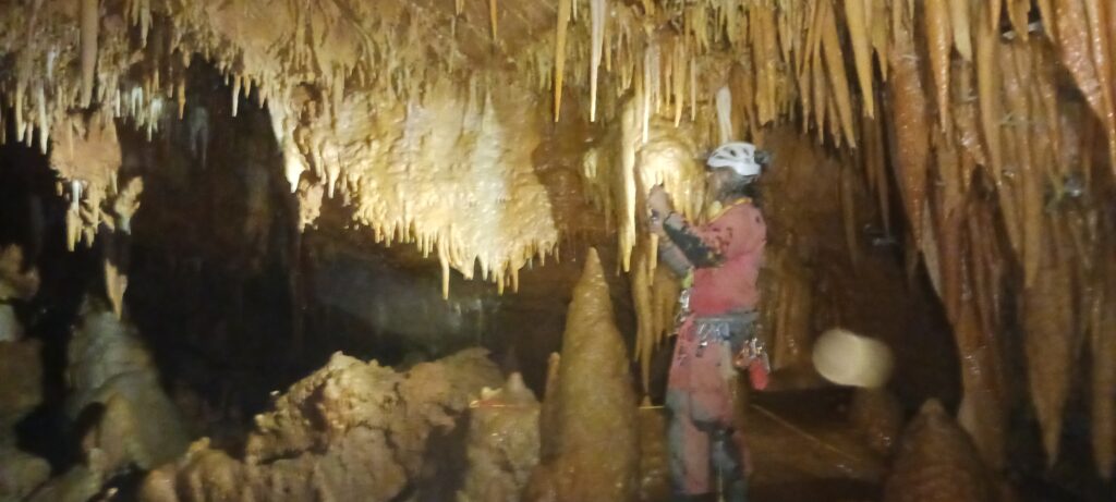 L’attribut alt de cette image est vide, son nom de fichier est 20250501_160718-1024x461.jpg.