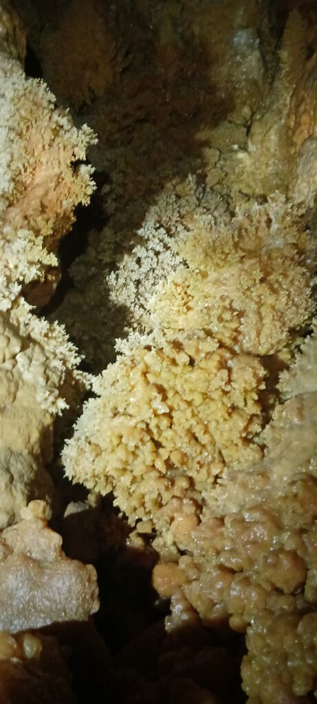 L’attribut alt de cette image est vide, son nom de fichier est 20250501_161211-461x1024.jpg.